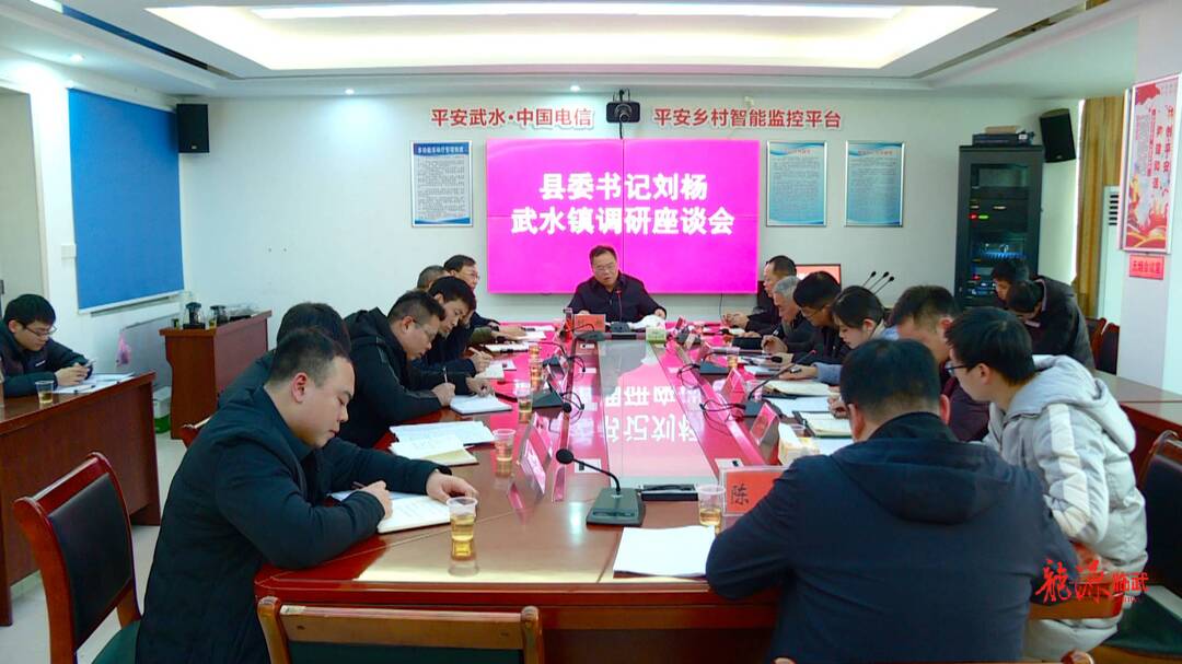 刘杨到武水调研：全力以赴助力全县经济社会发展