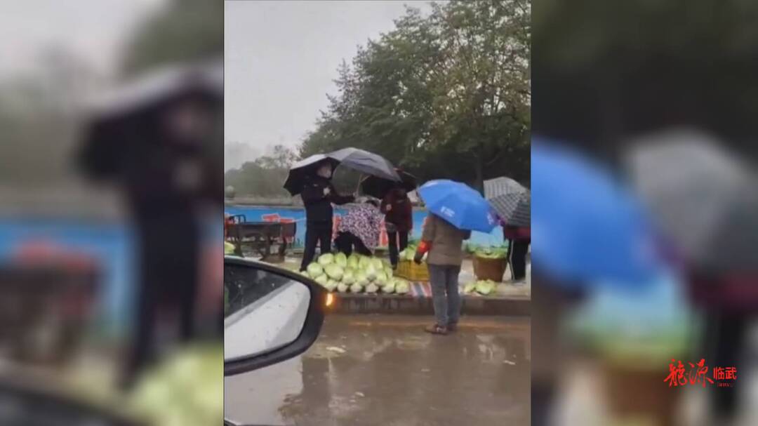 暖心！城管雨中执法为菜农撑伞获网友点赞