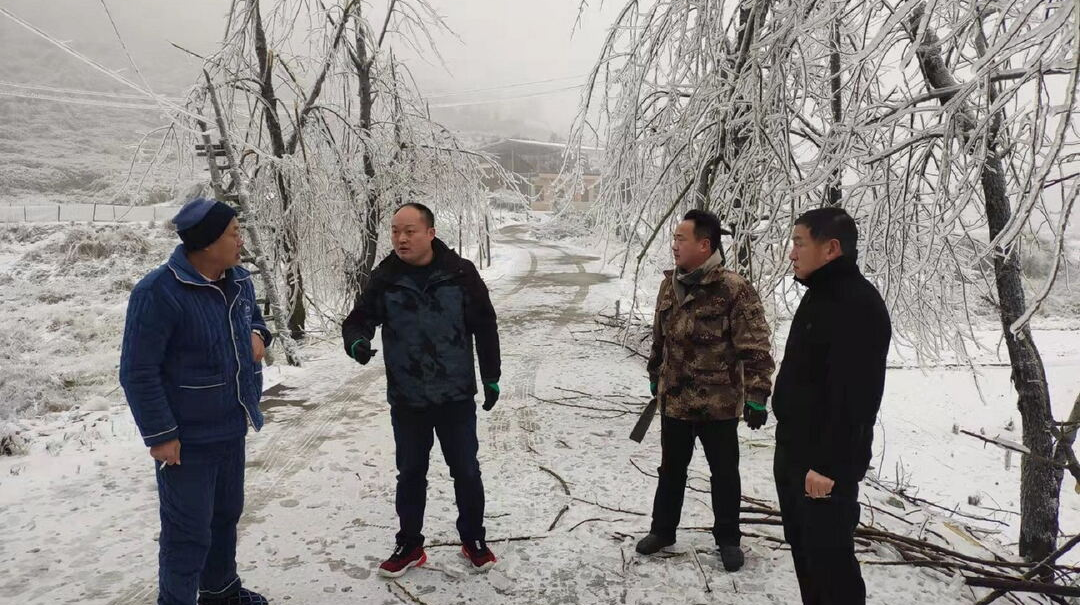 图集 | 大雪至 情漫天