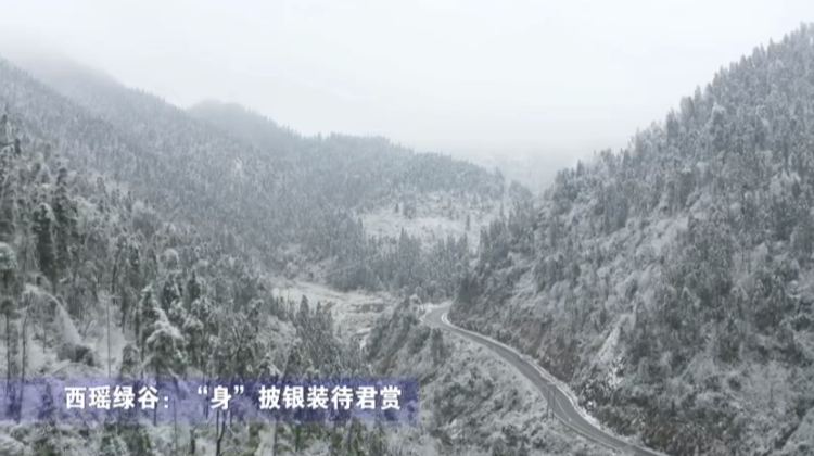 【学习强国】如画郴州|白雪落绿谷 银装扮西瑶