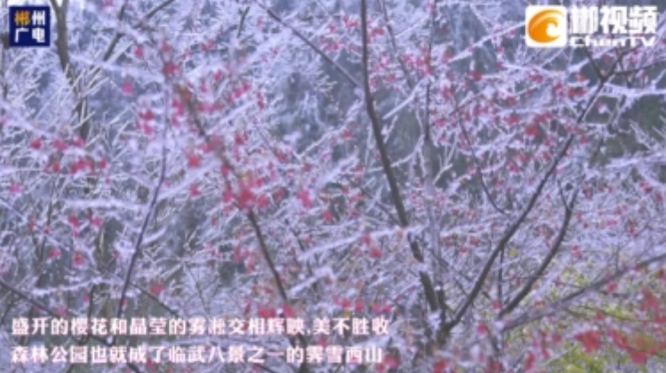 【爱郴州】​美在郴州·临武西瑶绿谷：“身”披银装待君赏