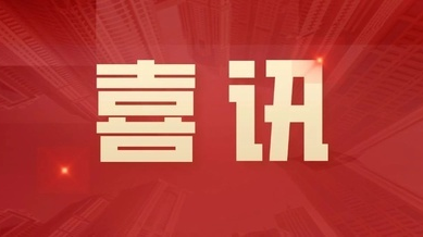 湖南省三八红旗手（集体）、标兵名单公布！临武龙归坪上榜