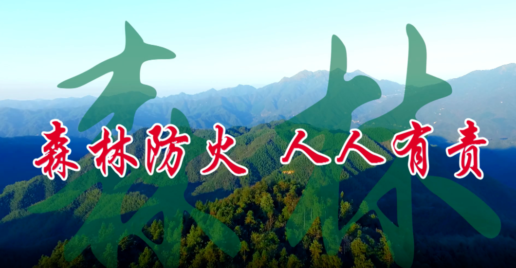 【公益广告】森林防火人人有责