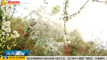 【天天播报】春景美如画：临武镇南双花开 美艳动人迎宾来