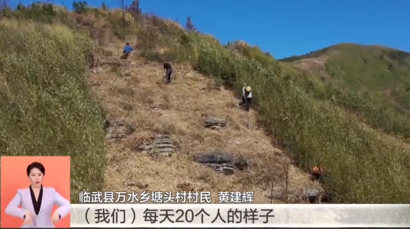 【芒果TV】郴州：以林长制为抓手 助推林业高质量发展
