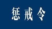 关于对第二批临武籍涉电诈违法犯罪嫌疑人的惩戒令（第2号）
