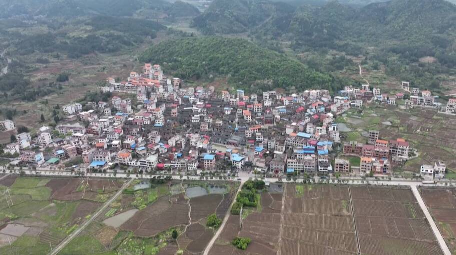 乡村振兴进行时｜南福村：以地为“股” 田野“流”出幸福歌