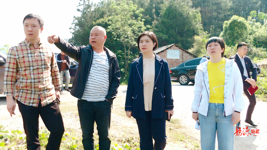 尹海莲到南强镇调研防汛、乡村振兴工作
