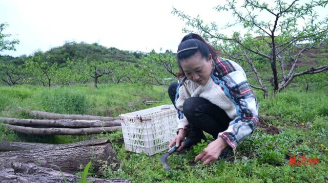 【新湖南】郴州临武：春天的味道|艾叶糍粑