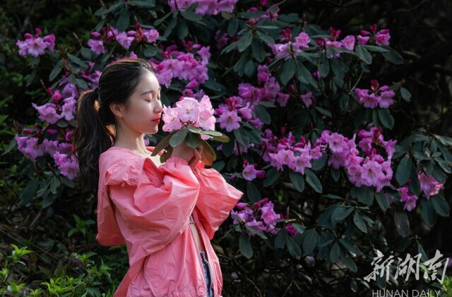 【新湖南】与花私语