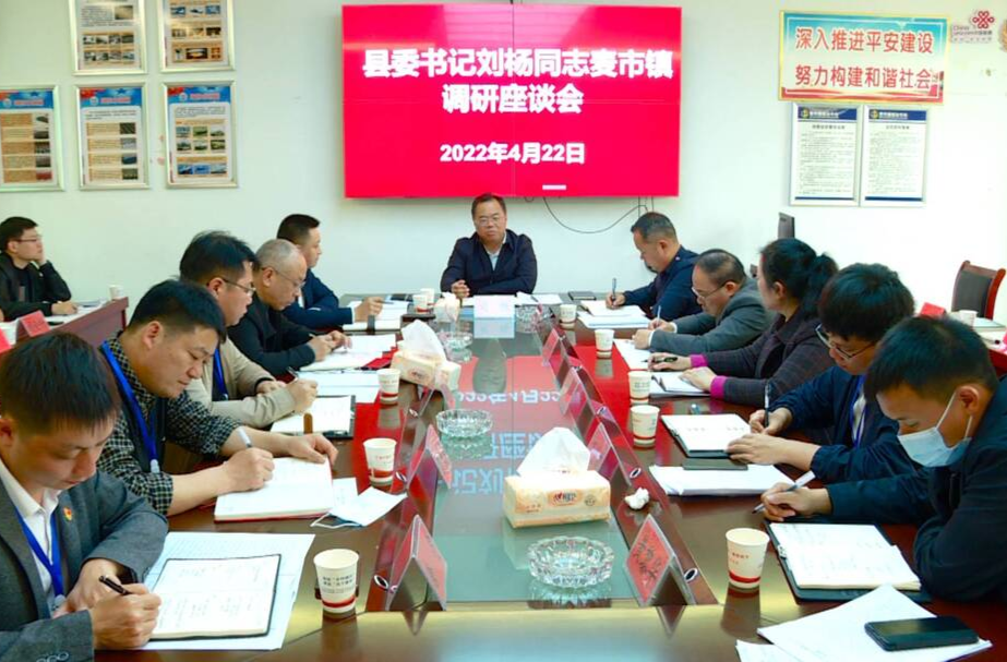 刘杨到麦市调研：努力成为对标对表落实中省市县各项安排部署的先锋