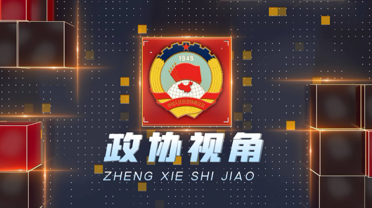 政协视角