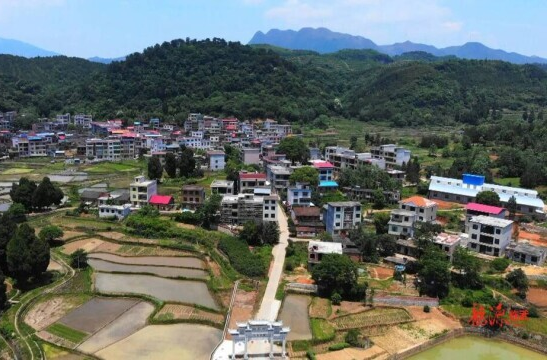 【新湖南】郴州临武：残疾支书黄春发 圆梦美丽乡村