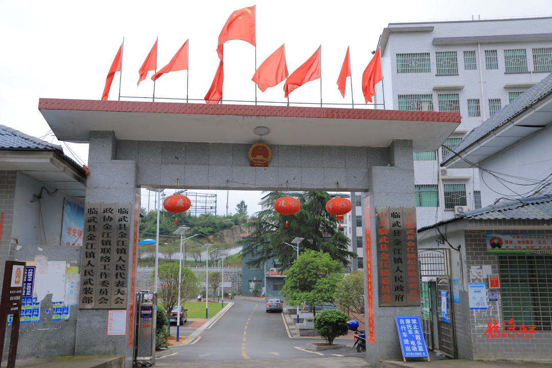金江镇概况