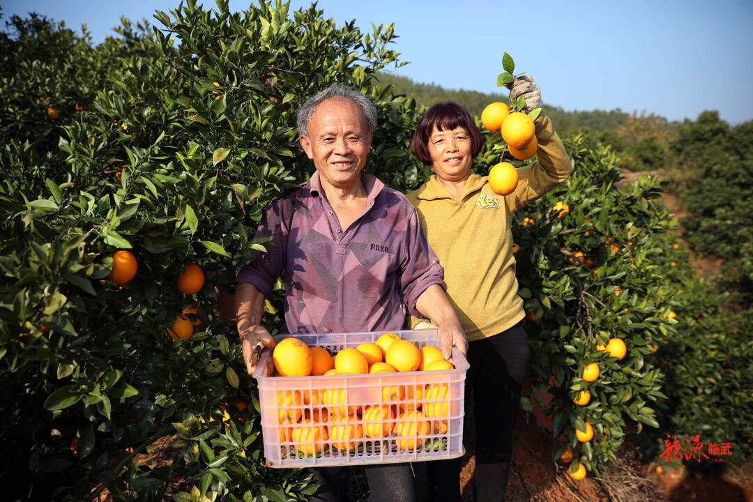 我们的新时代｜摄影《丰收》组照