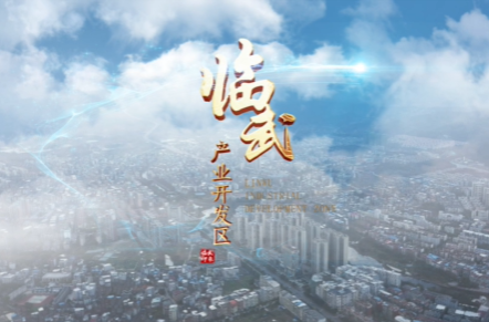 专题片丨临武产业开发区：踔历奋发新使命 奋劲产业新聚集