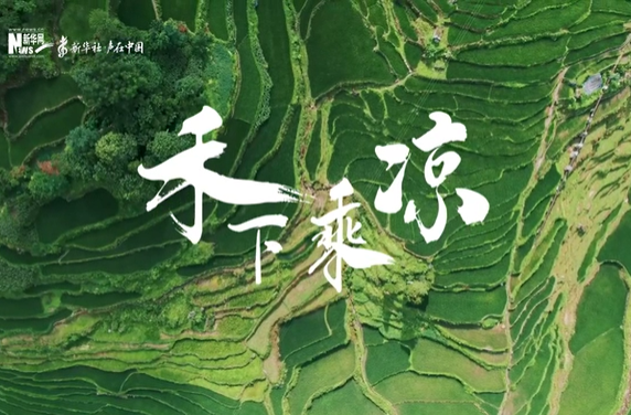 声在中国丨禾下乘凉