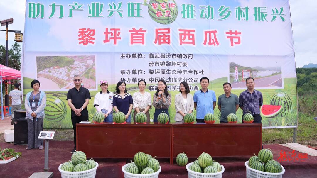 聚焦十大重点工作·乡村大振兴｜以节会为媒 助力西瓜销售
