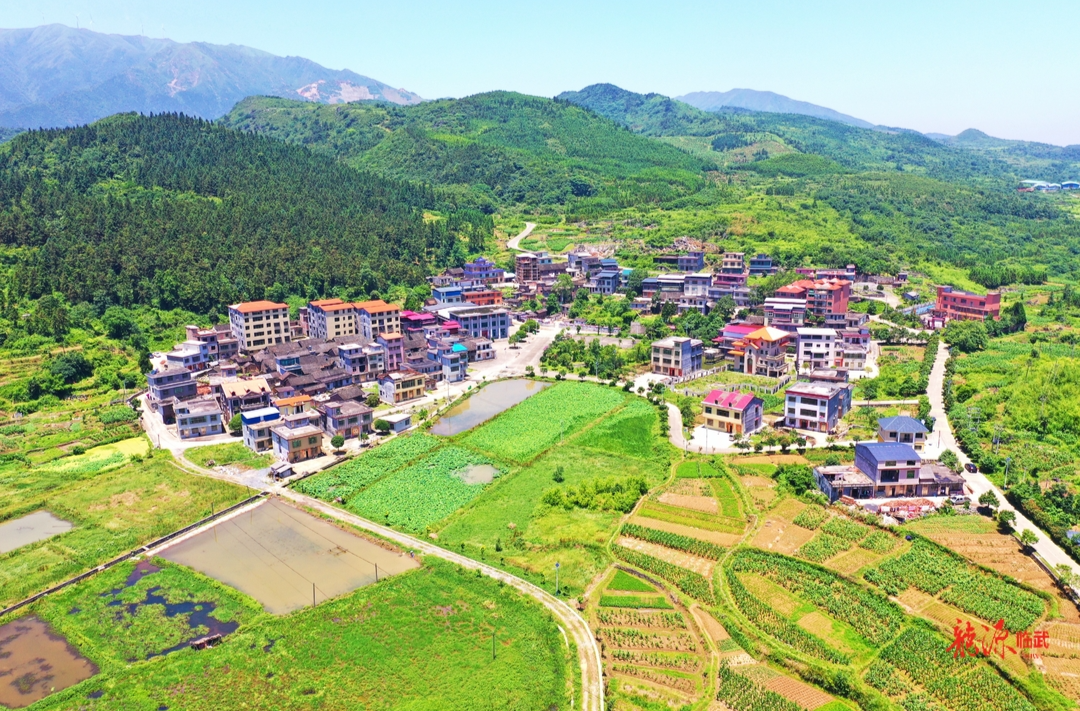 镇南乡：坚持“五个着力”全力推进乡村振兴