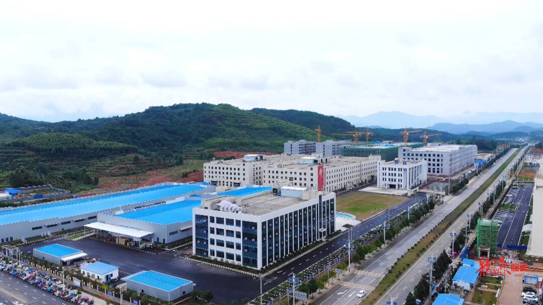 【聚焦新能源 共创新未来】建链补链延链强链 打造电池产业新业态