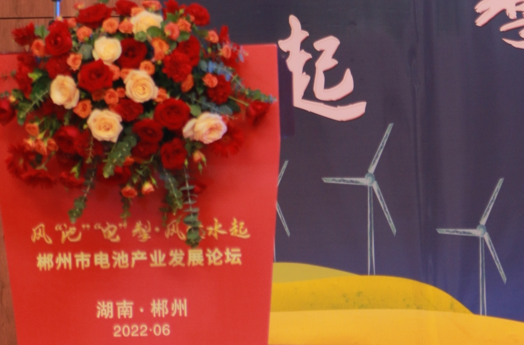 图集 | 郴州市电池产业发展论坛会在临武举行