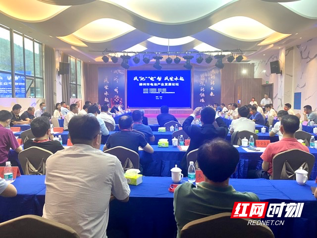 【红网时刻】在一起便是机遇 郴州市电池产业发展论坛在临武县举行