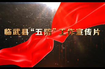 临武县"五防"宣传微视频