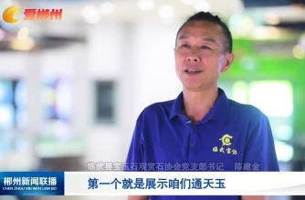 【郴州新闻联播】相约第十届矿博会·临武县：300多件精美玉雕作品即将亮相矿博会