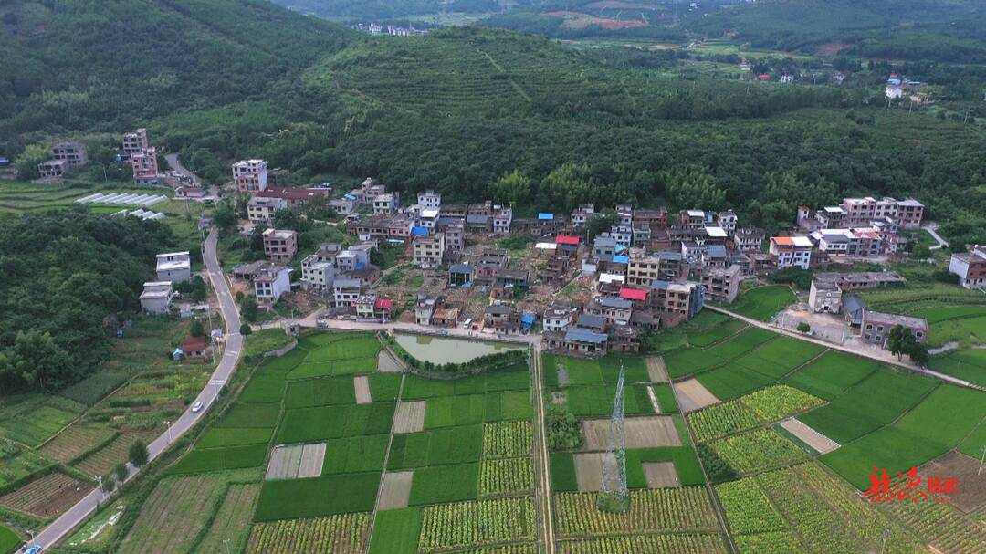 聚焦十大重点工作·乡村大振兴｜汾市镇：改造“空心村 ” 建设美丽乡村