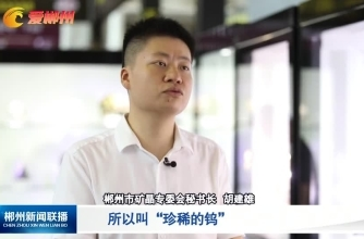 【郴州新闻联播】相约第十届矿博会 洁琼带您逛矿博：寻宝“钨中之最”