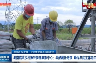 【郴州新闻联播】稳经济 促发展·全力推进重点项目建设 湖南临武乡村振兴物流集散中心：战酷暑抢进度 确保年底主体