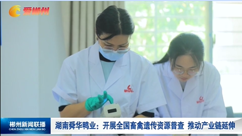 【郴州新闻联播】湖南舜华鸭业：开展全国畜禽遗传资源普查 推动产业链延伸