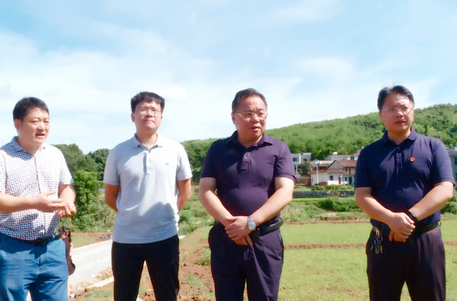 刘杨到部分乡镇调研指导乡村振兴和安全生产工作
