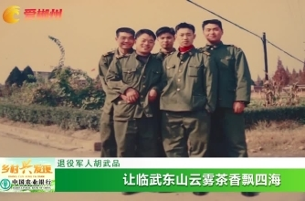 【爱郴州】退役军人胡武品：让临武东山云雾茶香飘四海