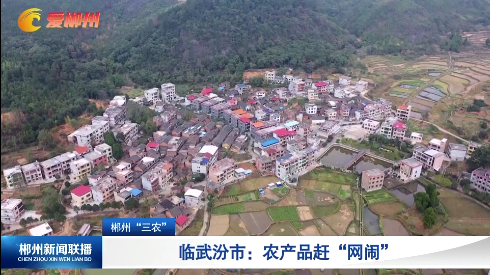 【郴州新闻联播】郴州“三农”·临武汾市：农产品赶“网闹”