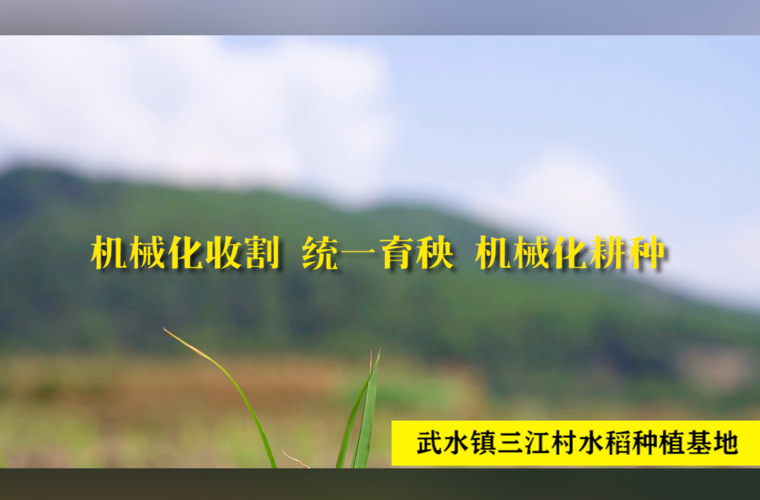 你想象中的农业是什么样子？现代化农业设备助粮农降本增效