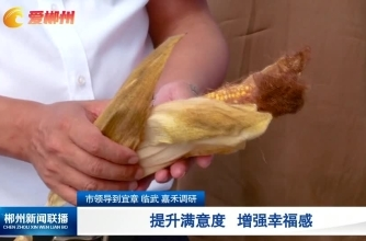 【郴州新闻联播】市领导到宜章 临武 嘉禾调研：提升满意度 增强幸福感