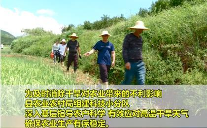 【一线直击】临武县农业农村局：科技小分队指导农民科学抗旱