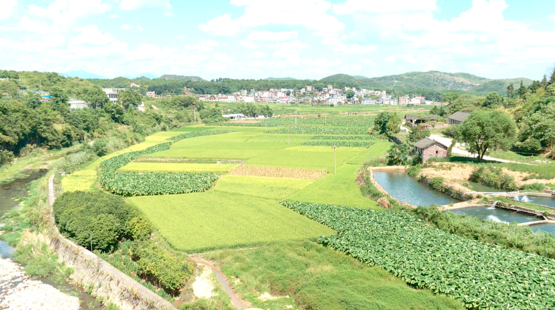抗旱情 保民生｜水库应需放水 缓解农田用水需求