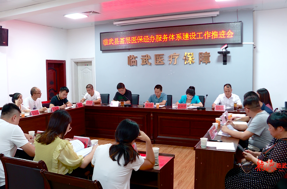 临武县召开基层医保经办服务体系建设工作推进会
