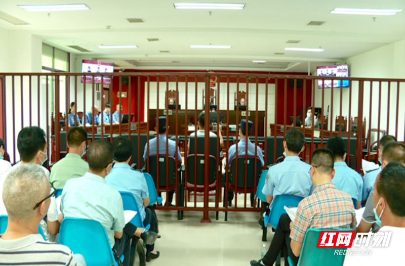 【红网时刻】临武县人大常委会组织人大代表开展旁听庭审活动