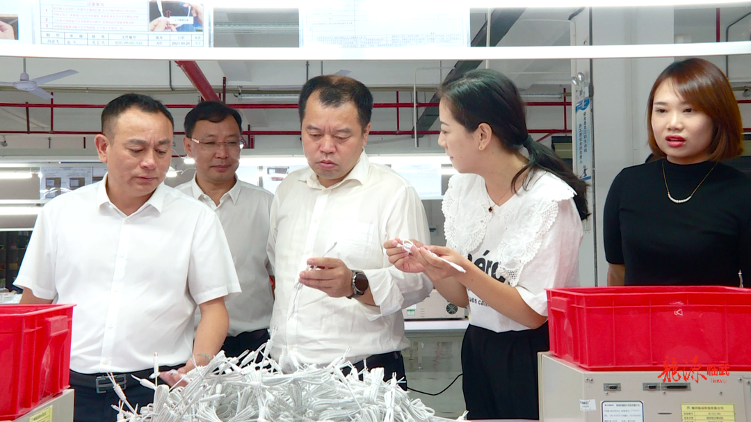 聚焦十大重点工作·开放大驱动｜市招商引资联合作战指挥部来临武县调研督导