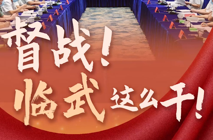 督战！临武这么干！