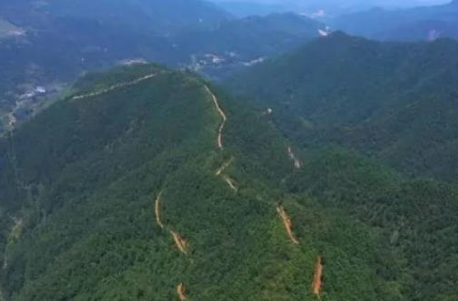 【红网·湖南频道】郴州临武：筑牢森林防火线 积极应对高温天气