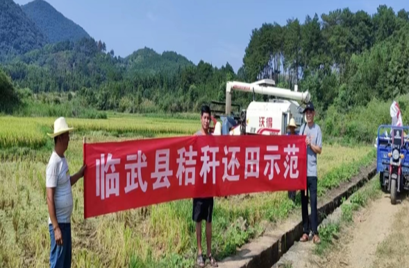 【新华网】临武县：美丽乡村画卷徐徐展开