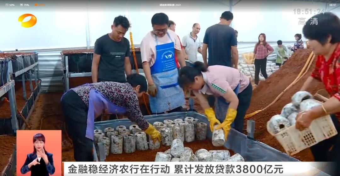 【湖南新闻联播】金融稳经济农行在行动 累计发放贷款3800亿元