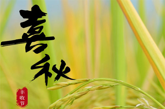 图集 | 穰穰满家慰耕农