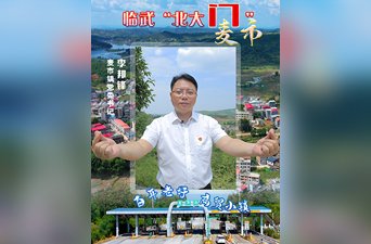 最美家乡推荐官｜临武“北大门”麦市