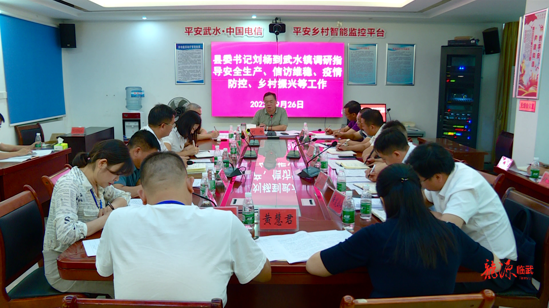 刘杨到武水镇督导近期各项底线工作：用优异的成绩迎接党的二十大胜利召开