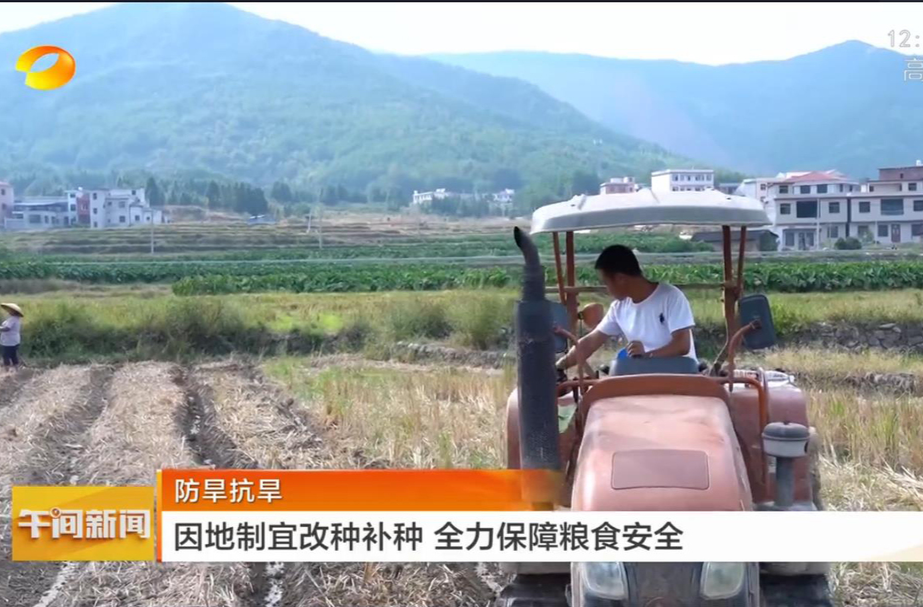 【湖南卫视午间新闻】防旱抗旱 因地制宜改种补种 全力保障粮食安全